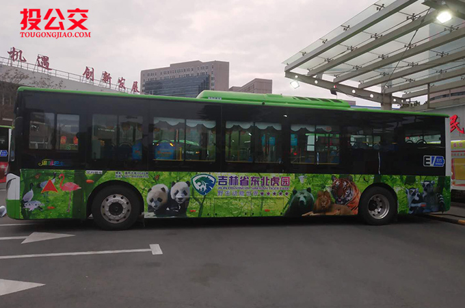 长春公交车身广告-1.jpg
